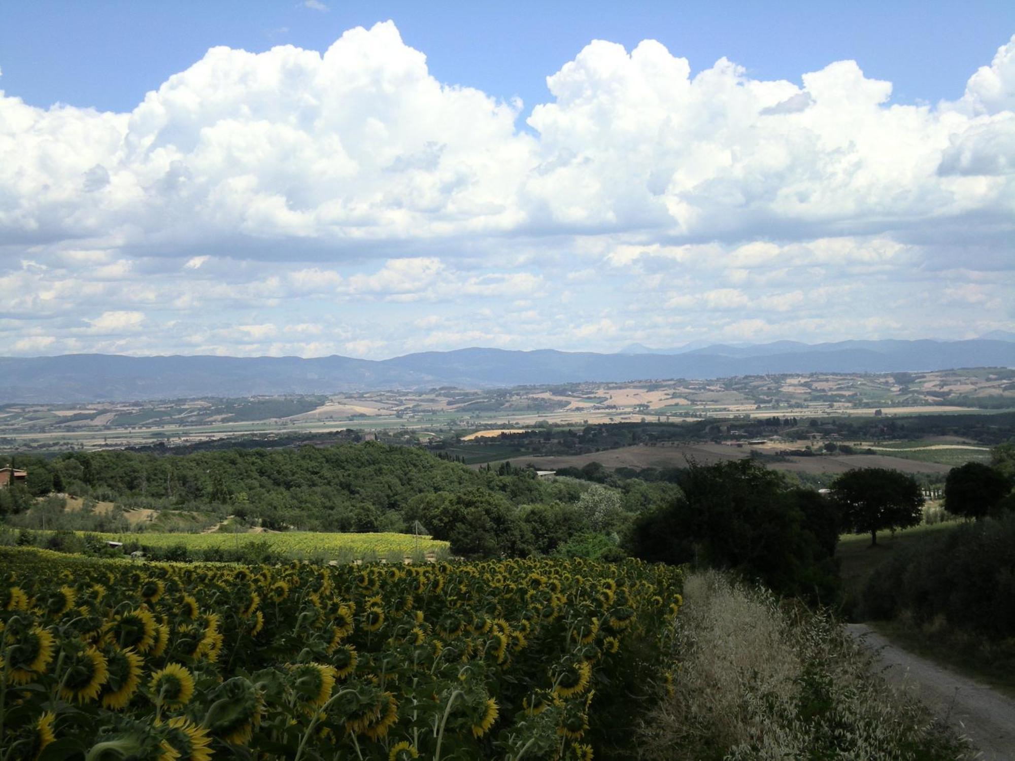 Hotel Sangallo B&B Montepulciano Stazione Εξωτερικό φωτογραφία