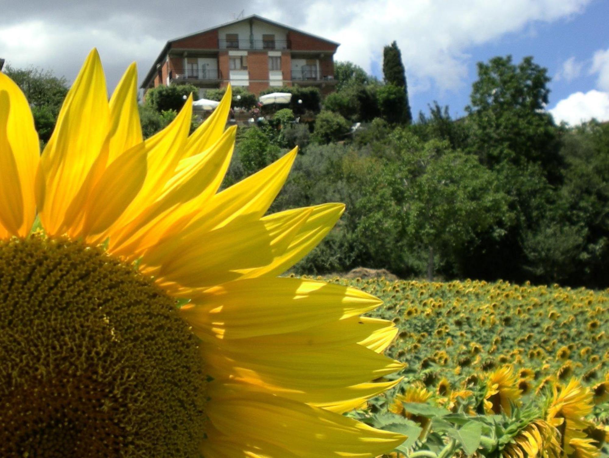 Hotel Sangallo B&B Montepulciano Stazione Εξωτερικό φωτογραφία